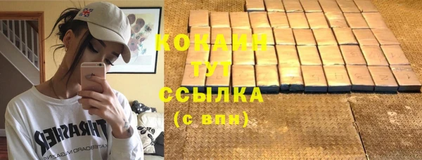индика Нефтегорск