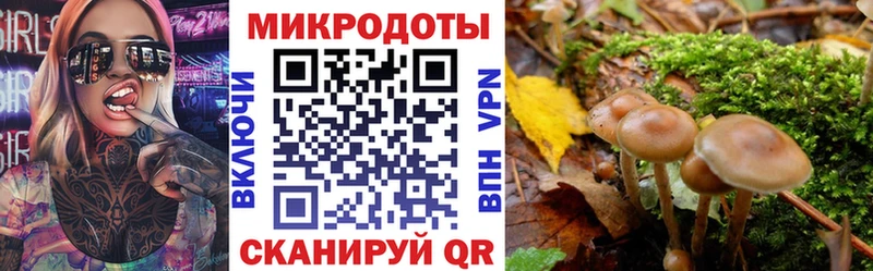 магазин  наркотиков  Томск  дарк нет как зайти  Псилоцибиновые грибы MAGIC MUSHROOMS 