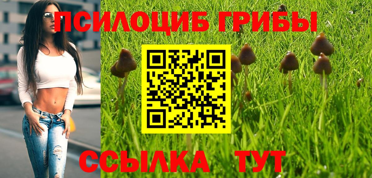 что такое наркотик  Псилоцибиновые грибы мухоморы  Вход с VPN  Томск 
