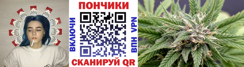 дарнет шоп  Томск  Бошки Шишки Amnesia 